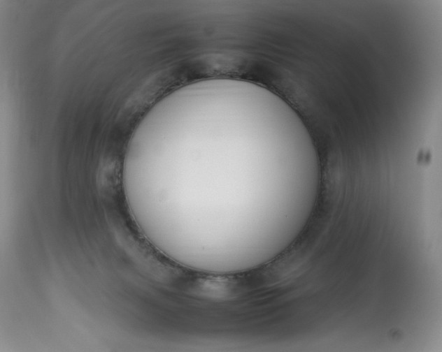 X0000113350079200909291105