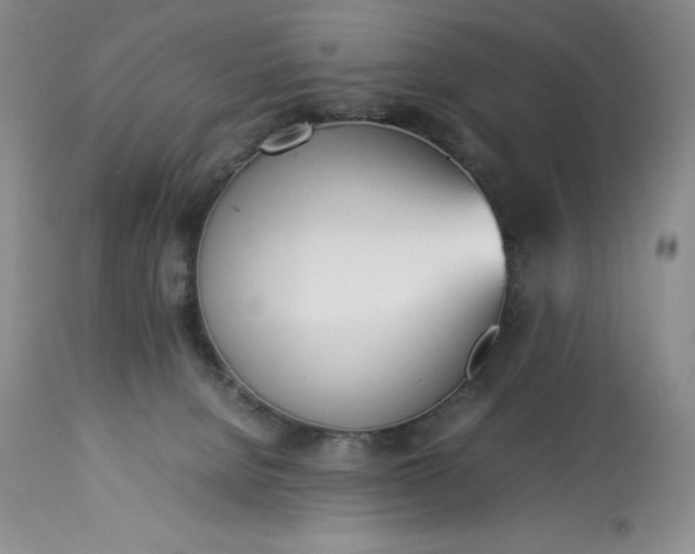 X0000113350080200909291105