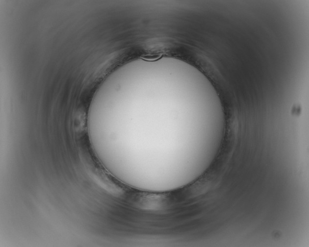 X0000113350081200909291105