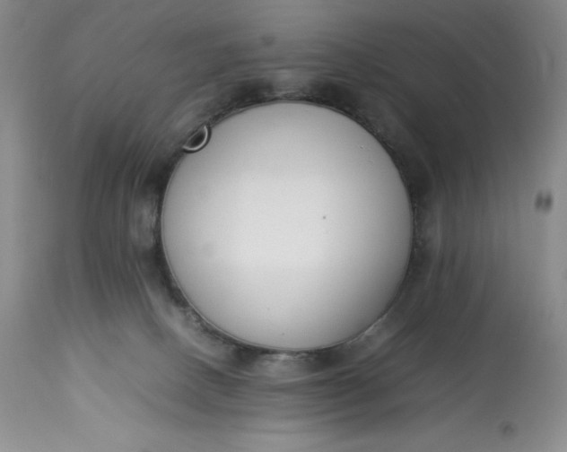 X0000113350082200909291105