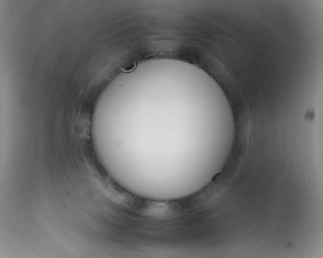 X0000113350083200909291105