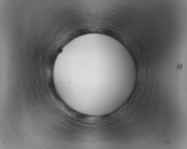 X0000113350084200909291105