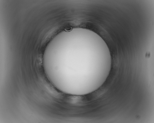 X0000113350085200909291105