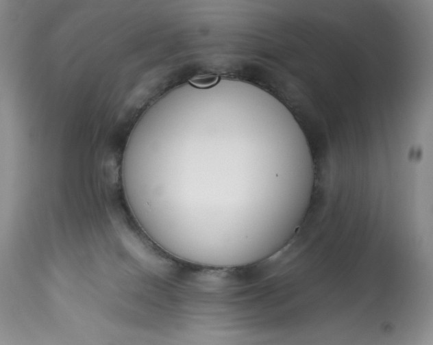 X0000113350086200909291105