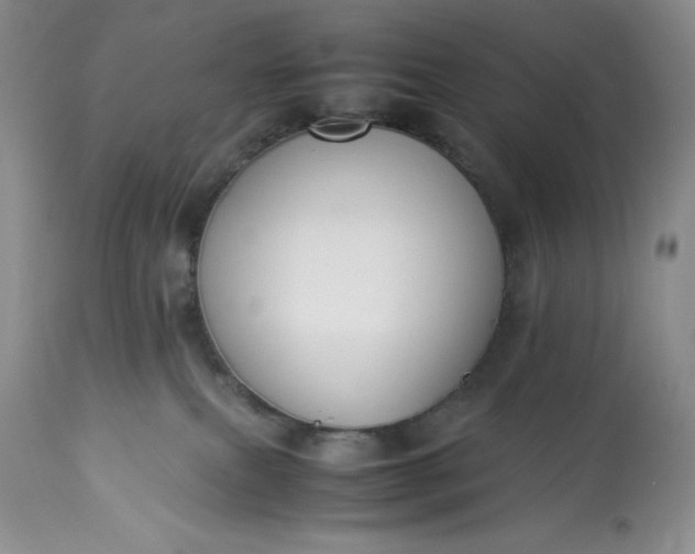 X0000113350087200909291105