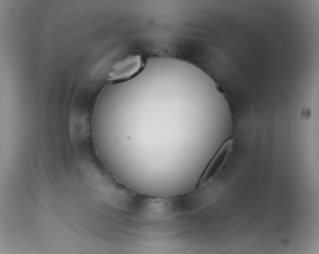 X0000113350088200909291105