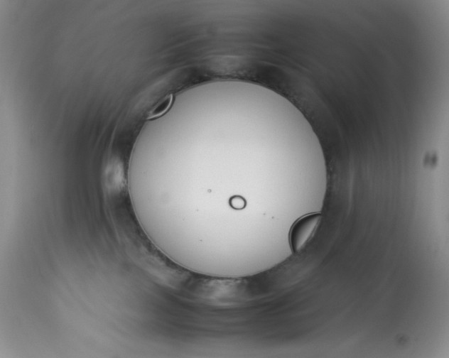 X0000113350089200909291105