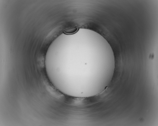 X0000113350090200909291105