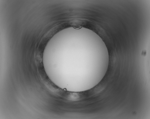 X0000113350091200909291105