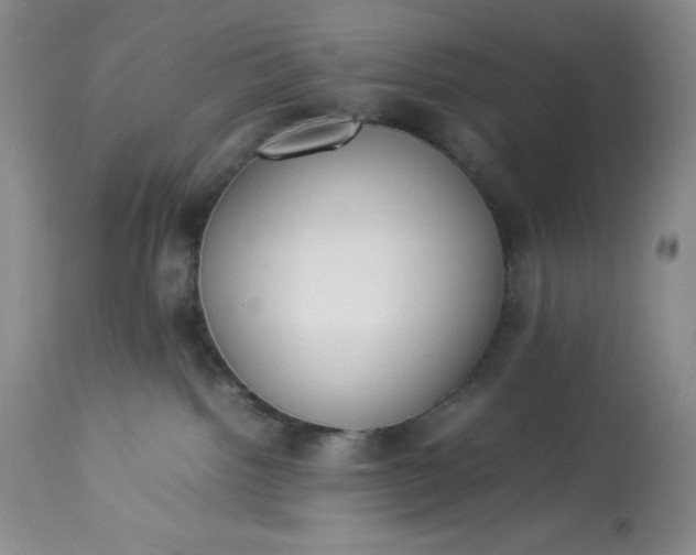 X0000113350092200909291105