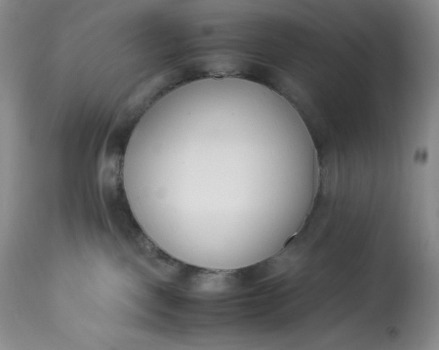 X0000113350093200909291105