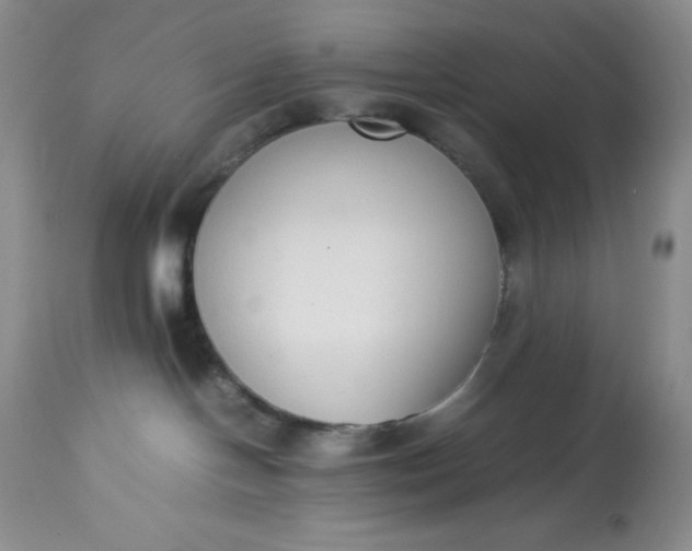 X0000113350094200909291105