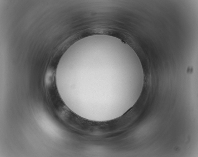 X0000113350095200909291105