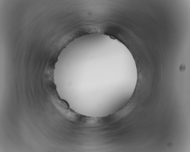 X0000113350096200909291105