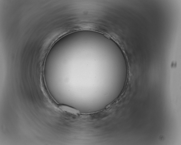 X0000113350097200909291105