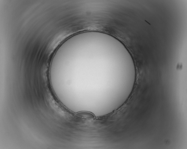 X0000113350098200909291105