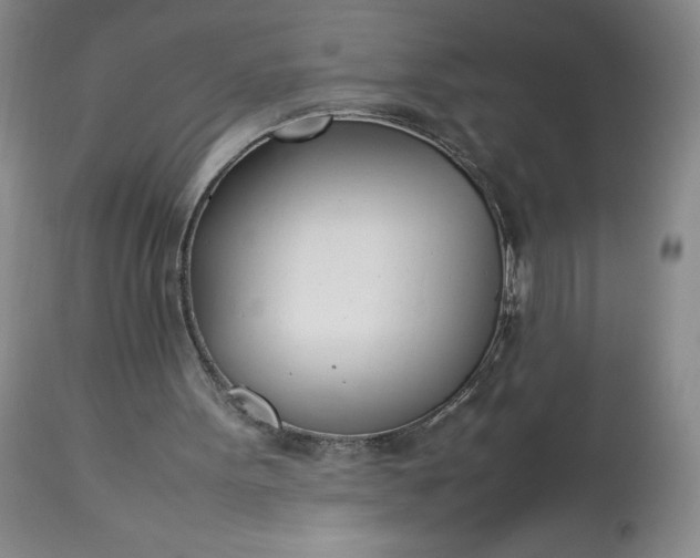 X0000113350099200909291105