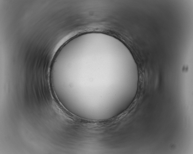 X0000113350100200909291105