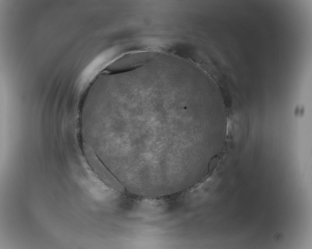 X0000113350101200909291104