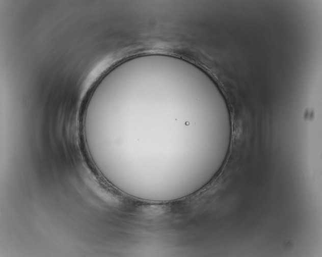 X0000113350102200909291104