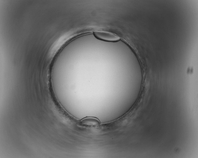 X0000113350103200909291104