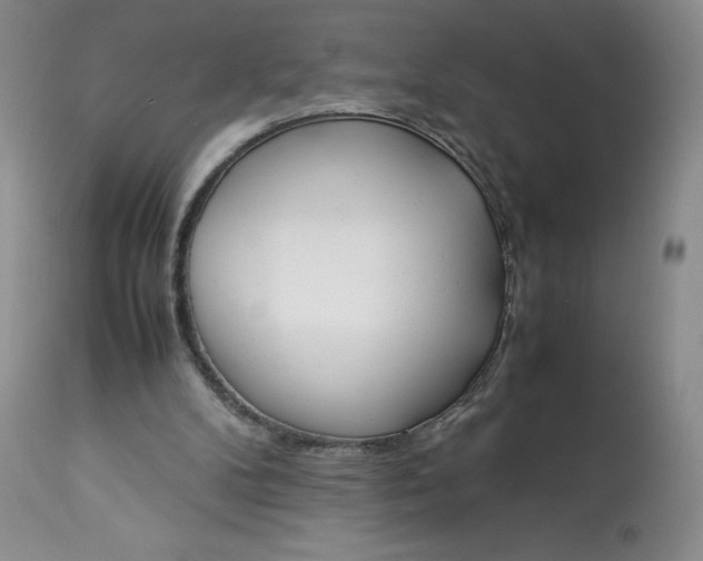 X0000113350104200909291104