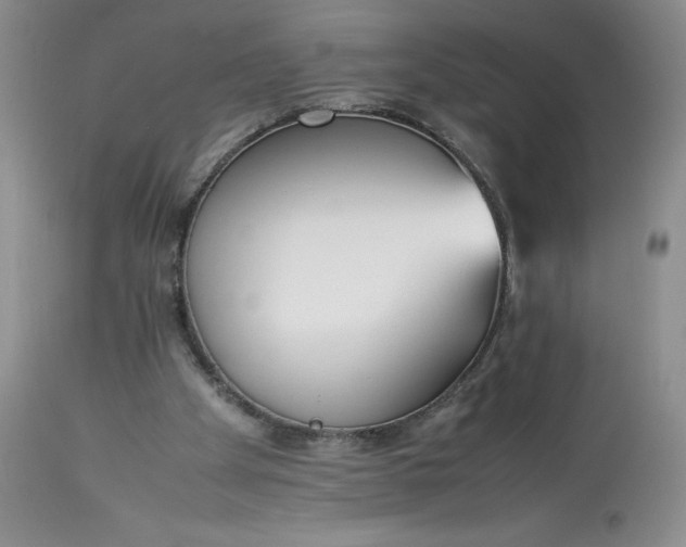 X0000113350105200909291104