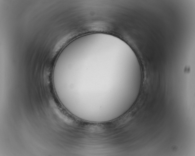 X0000113350106200909291104