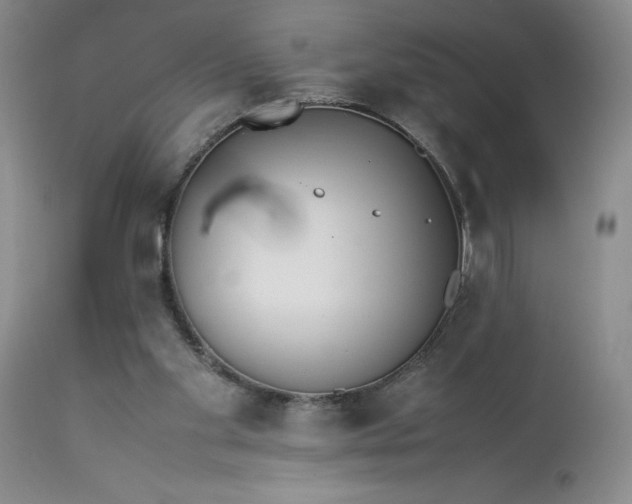 X0000113350109200909291104