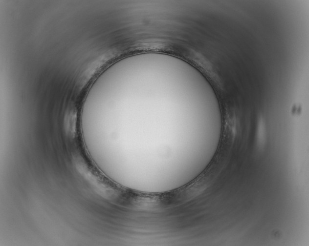 X0000113350110200909291104