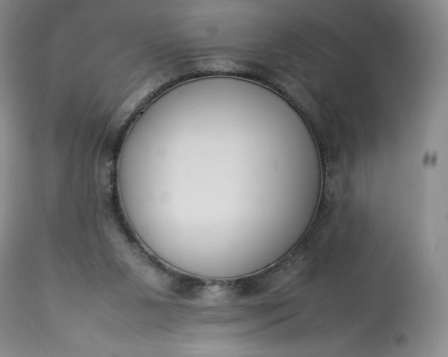 X0000113350111200909291104