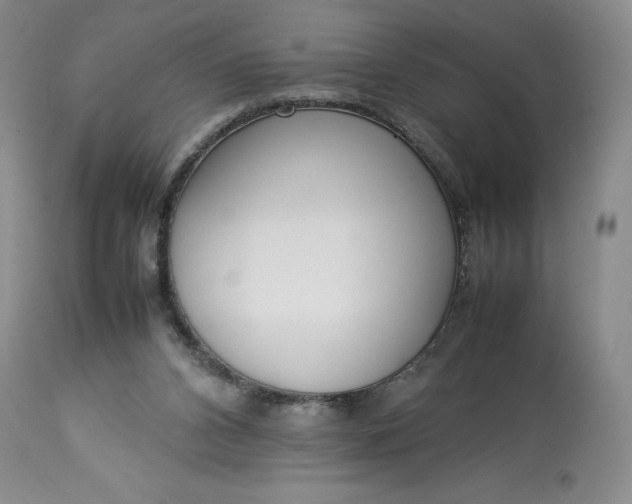 X0000113350112200909291104