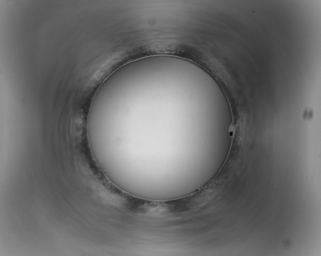 X0000113350113200909291104