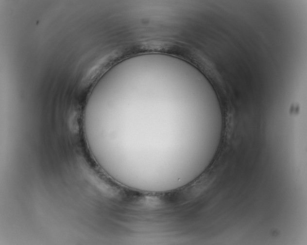 X0000113350114200909291104