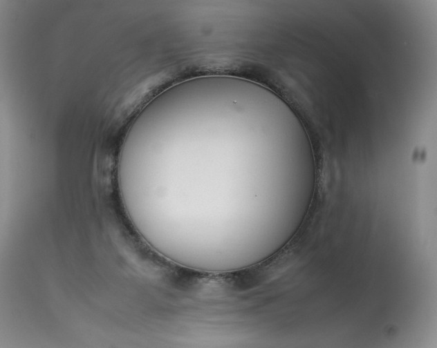 X0000113350115200909291104