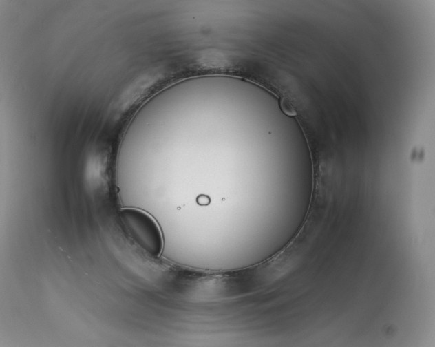 X0000113350116200909291104