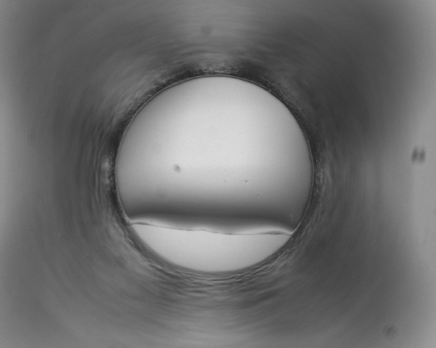 X0000113350117200909291104