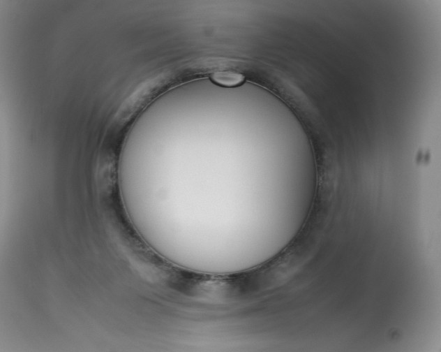 X0000113350119200909291104