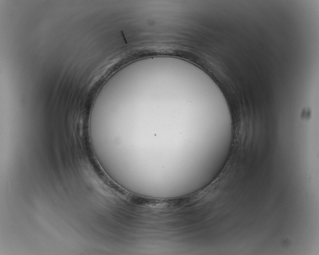 X0000113350120200909291104