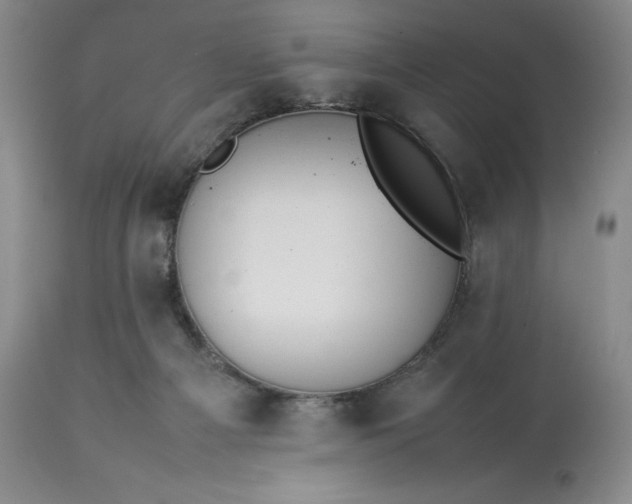 X0000113350121200909291104