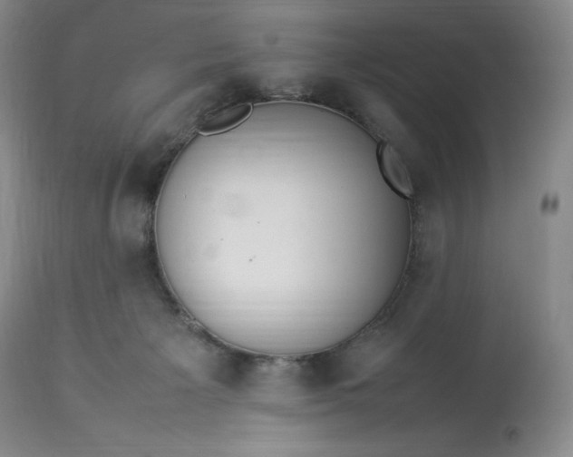 X0000113350125200909291104