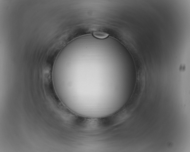 X0000113350127200909291104