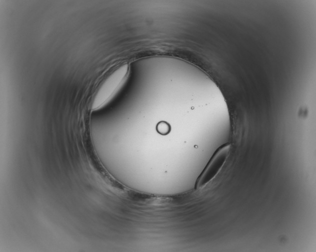 X0000113350128200909291104