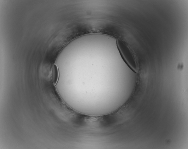 X0000113350129200909291104