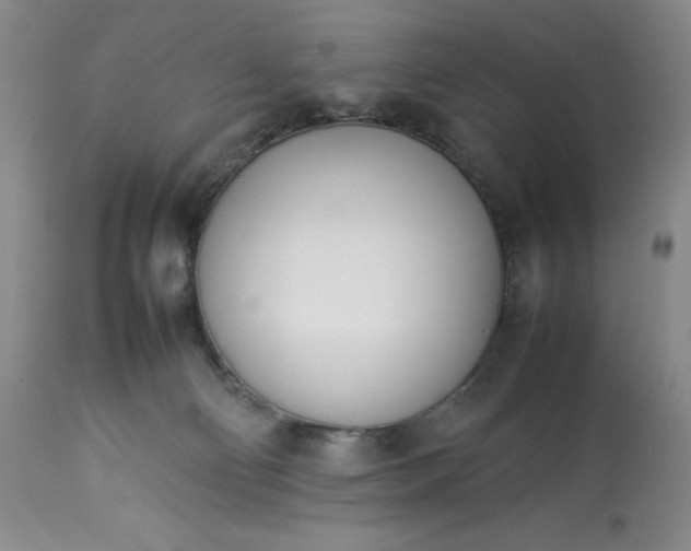 X0000113350130200909291104