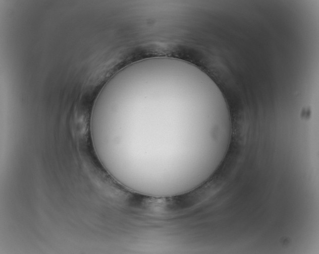 X0000113350131200909291104