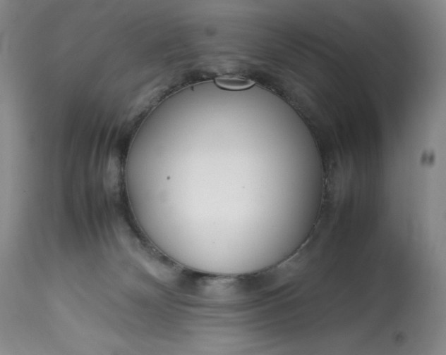 X0000113350132200909291104