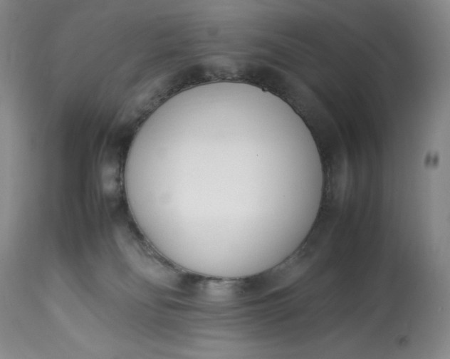 X0000113350134200909291104