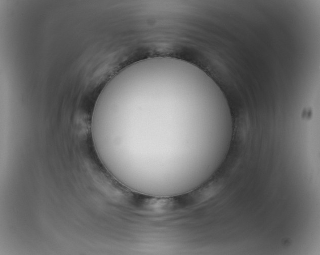 X0000113350135200909291104