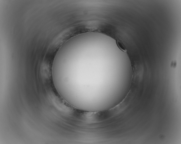 X0000113350136200909291104